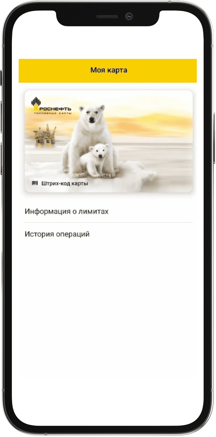 virt_app